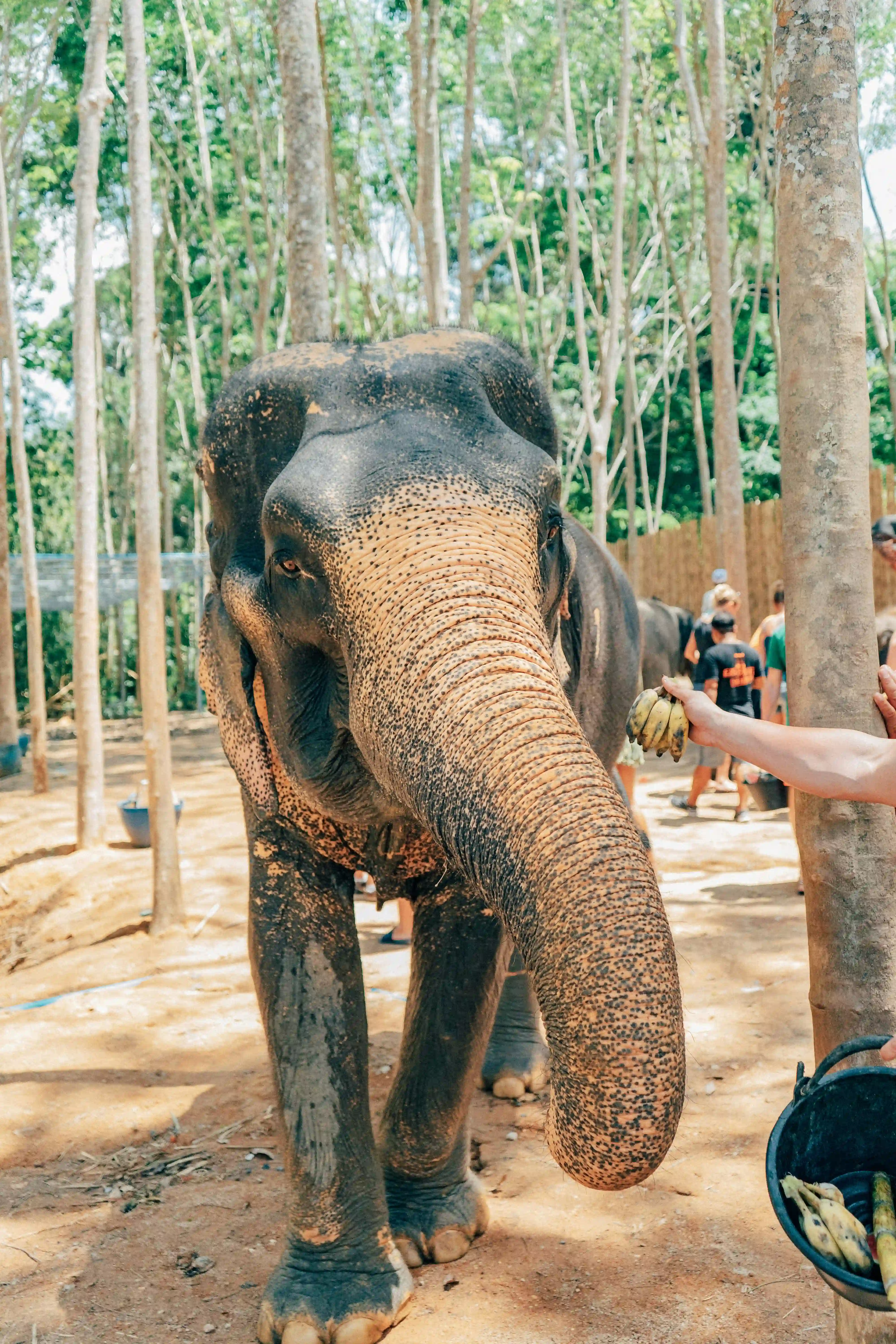 PRAYAI CHANGTHAI