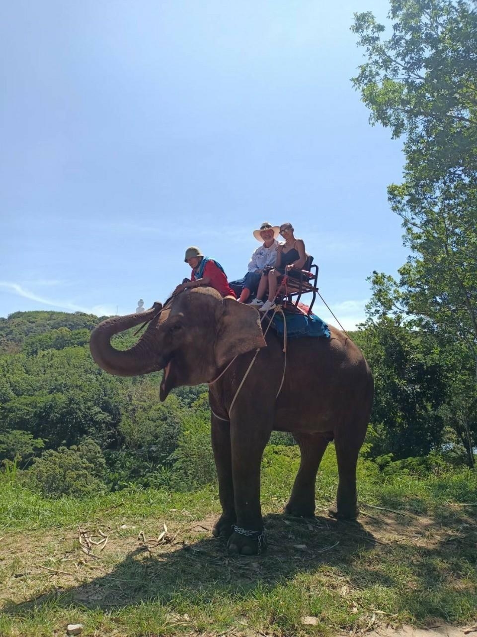 Big Buddha Elephant Trekking 15 mins