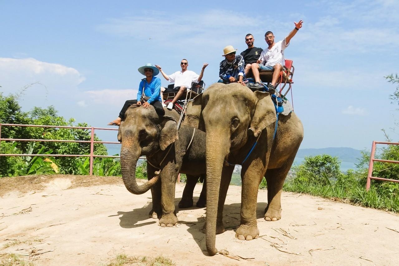 Big Buddha Elephant Trekking 20 mins